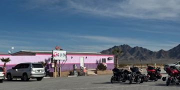 Alien Cathouse Is the Ultimate Tourist Destination - Image 01 (March 13, 2026)