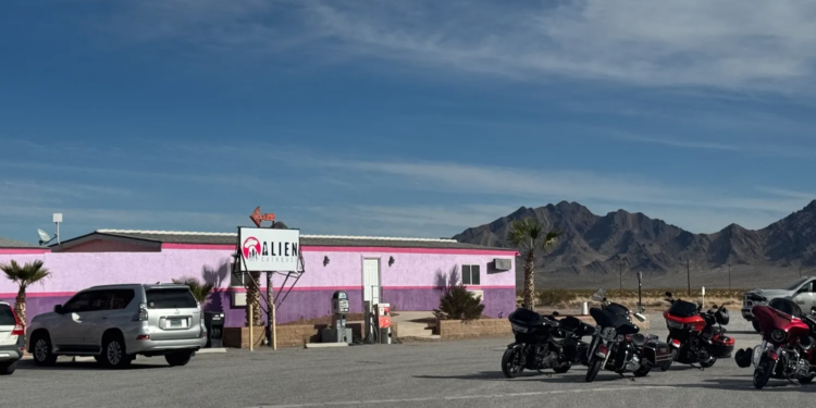 Alien Cathouse Is the Ultimate Tourist Destination - Image 01 (March 13, 2026)