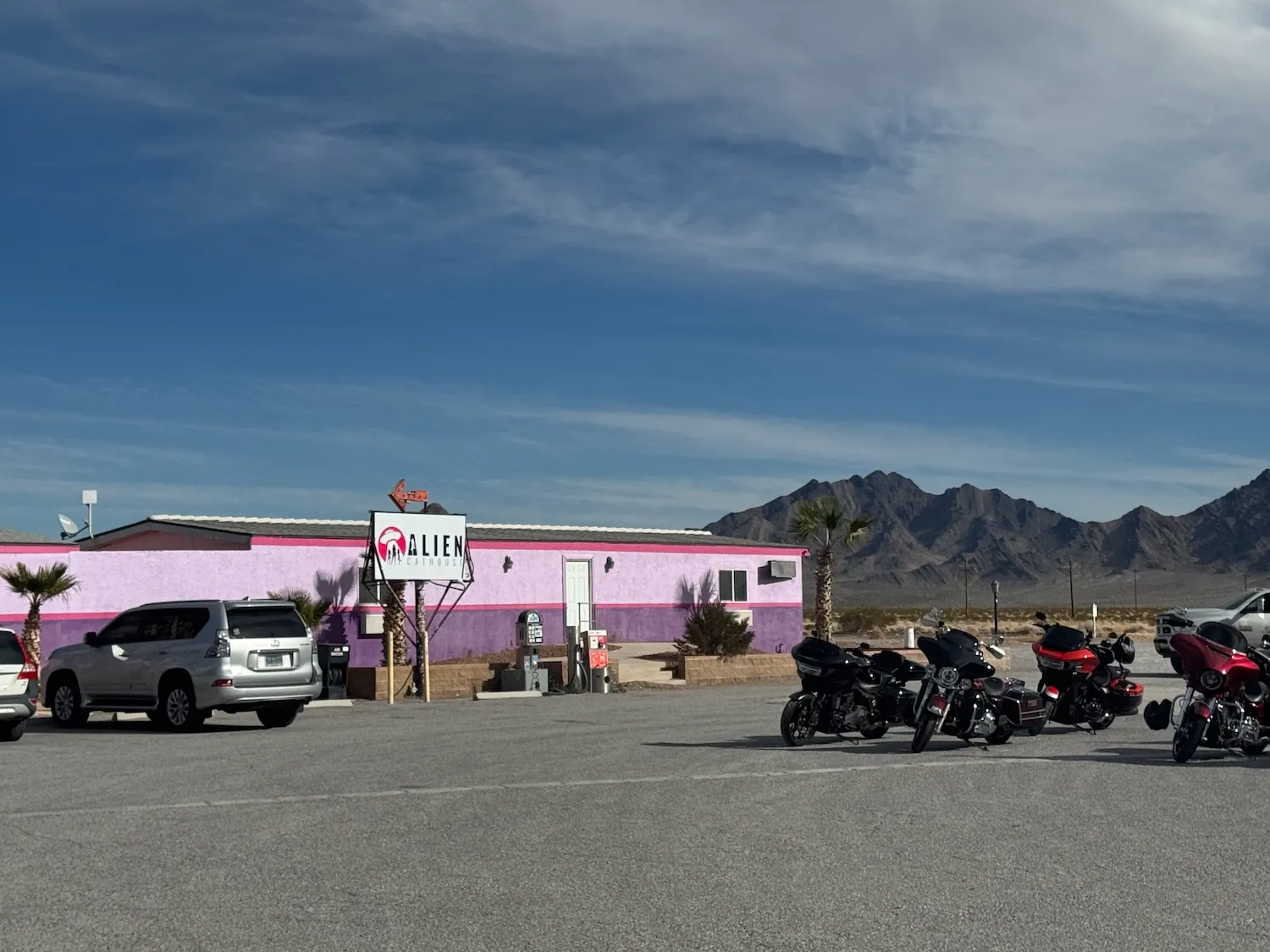 Alien Cathouse Is the Ultimate Tourist Destination - Image 01 (March 13, 2026)