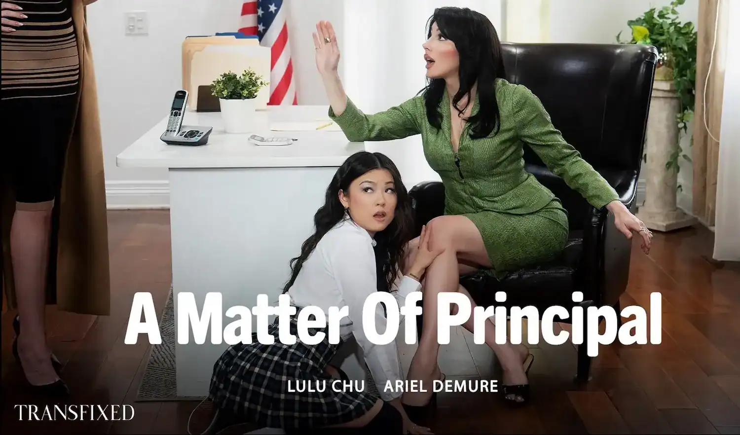 Ariel Demure Is the Principal for Transfixed - Image 01 (March 2, 2026)